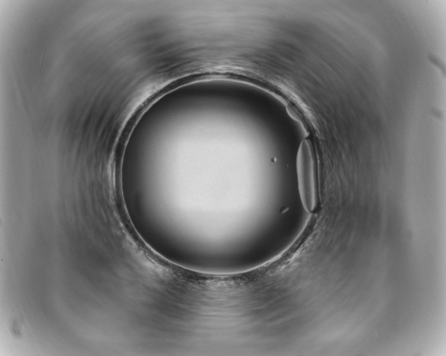 X0000094231032200710261252