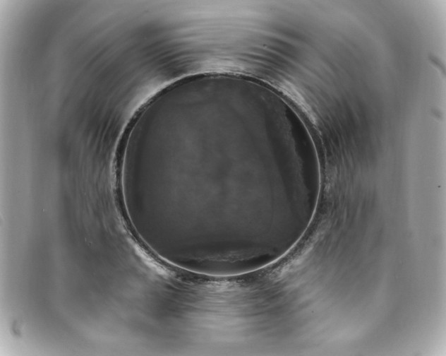 X0000094231037200710261252