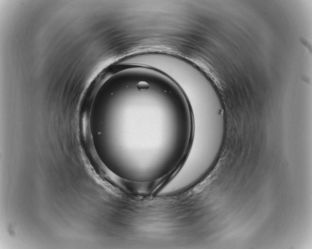 X0000094231038200710261252