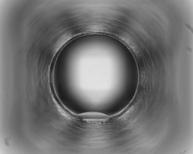 X0000094231039200710261252