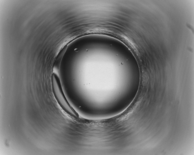 X0000094231041200710261252
