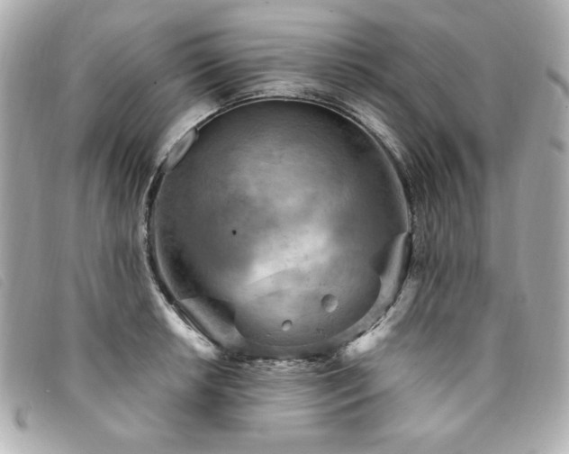 X0000094231042200710261252