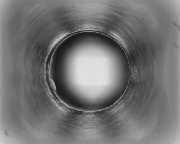 X0000094231043200710261252