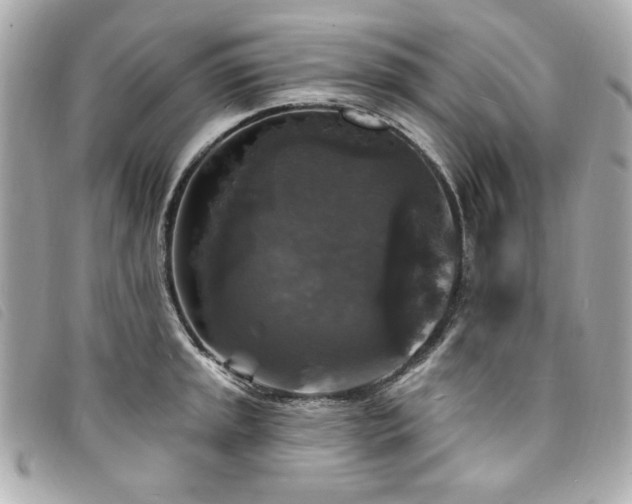 X0000094231045200710261252