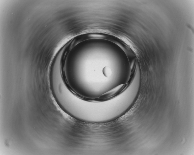 X0000094231046200710261252
