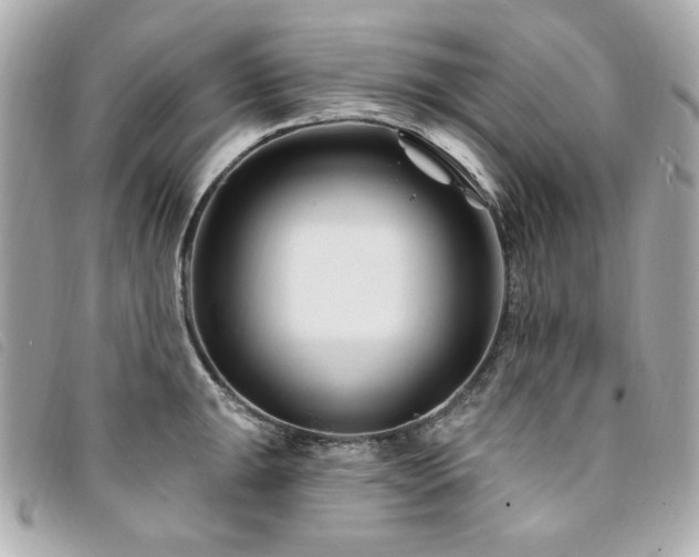 X0000094231047200710261252