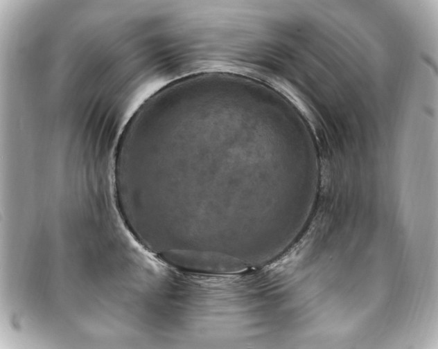 X0000094231048200710261252