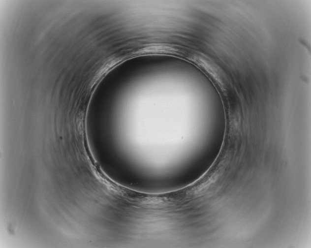 X0000094231049200710261252