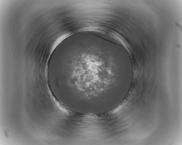X0000094231050200710261252