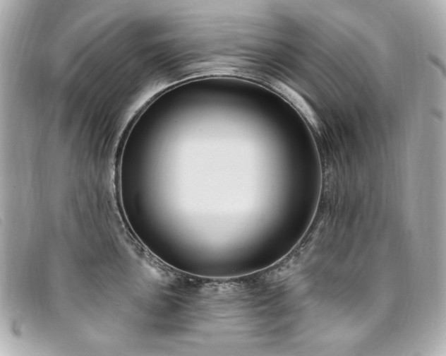 X0000094231051200710261252
