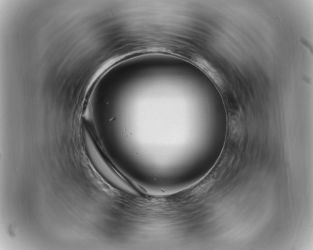 X0000094231052200710261252