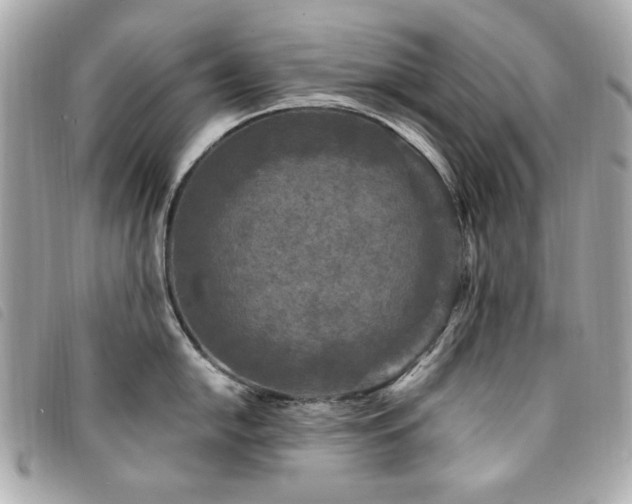 X0000094231054200710261252