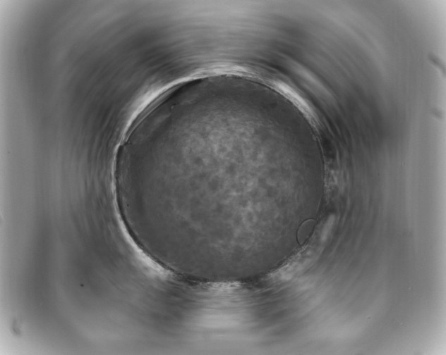 X0000094231055200710261252