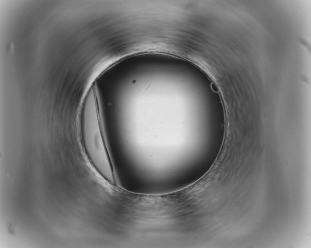 X0000094231056200710261252