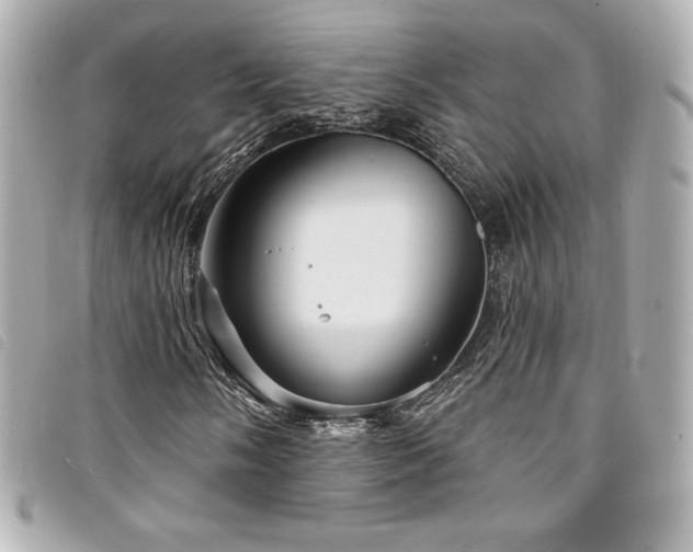 X0000094231058200710261252