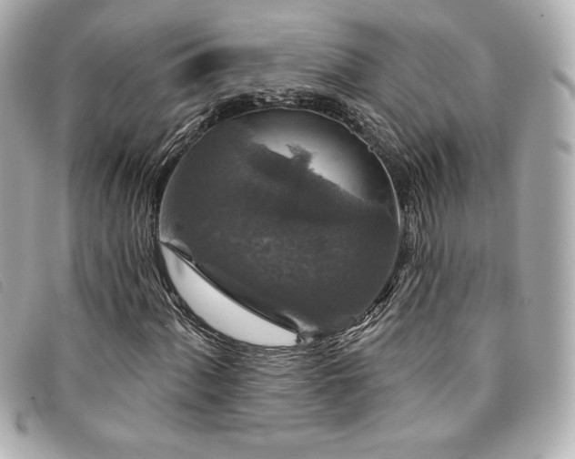 X0000094231060200710261252
