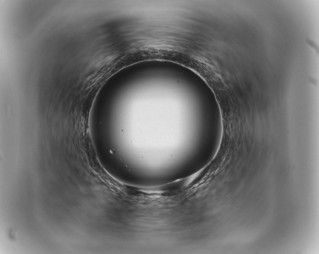 X0000094231061200710261252