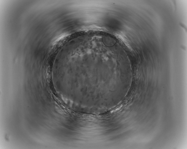 X0000094231063200710261252