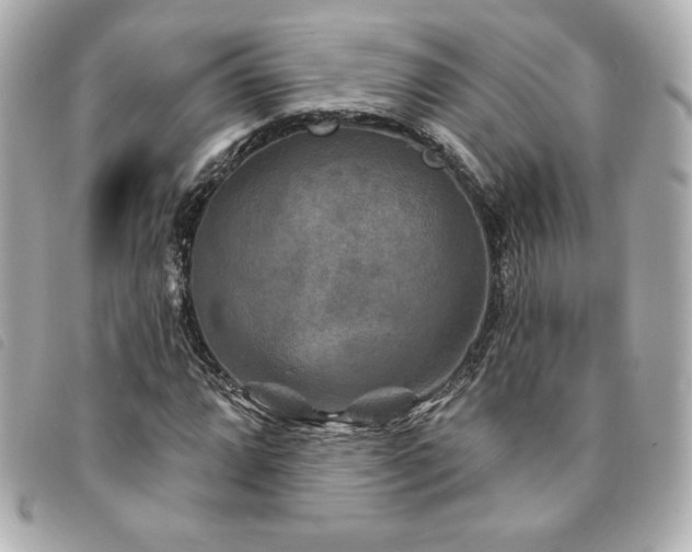 X0000094231064200710261252