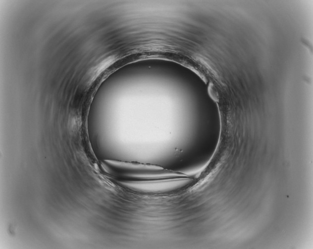 X0000094231065200710261252