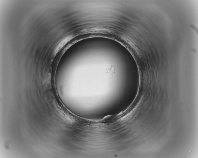 X0000094231066200710261252