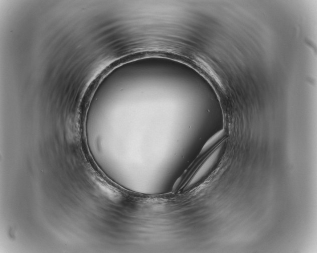 X0000094231068200710261252