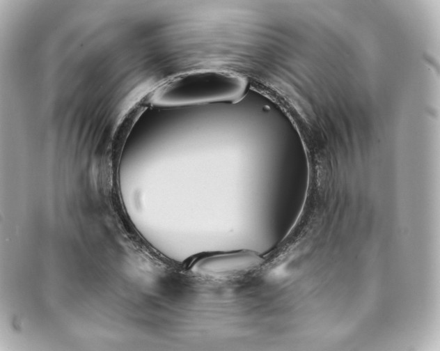 X0000094231069200710261252