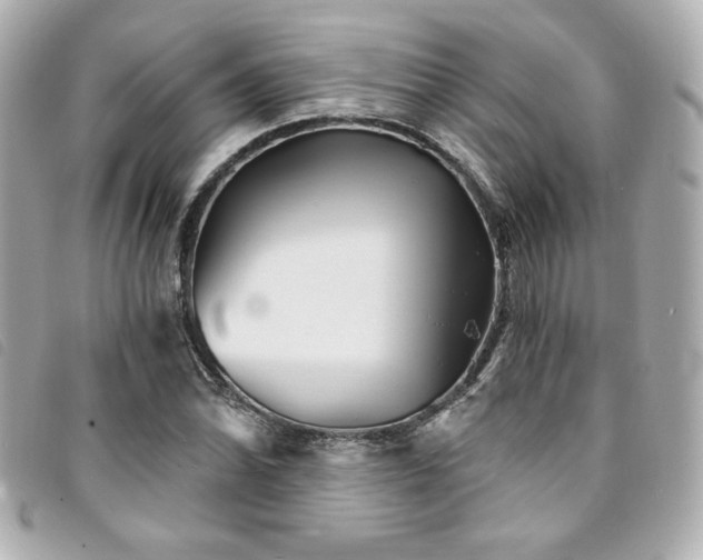 X0000094231070200710261252