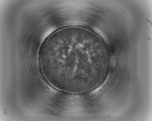 X0000094231071200710261252