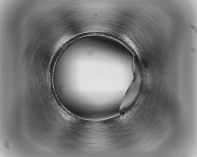X0000094231072200710261252