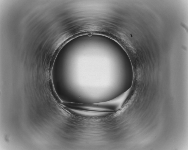 X0000094231073200710261252