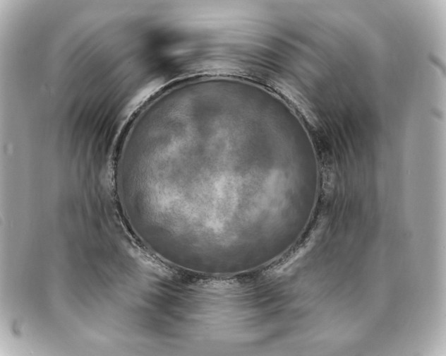 X0000094231074200710261252