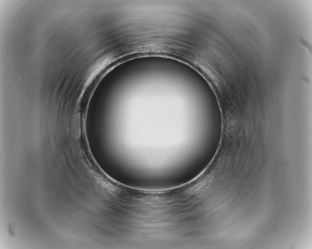 X0000094231075200710261252