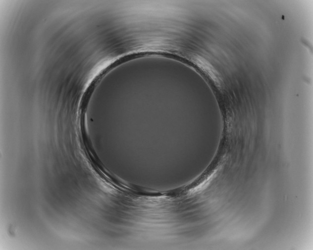 X0000094231077200710261252