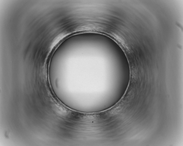 X0000094231078200710261252