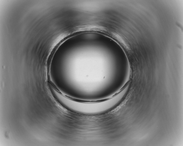 X0000094231079200710261252