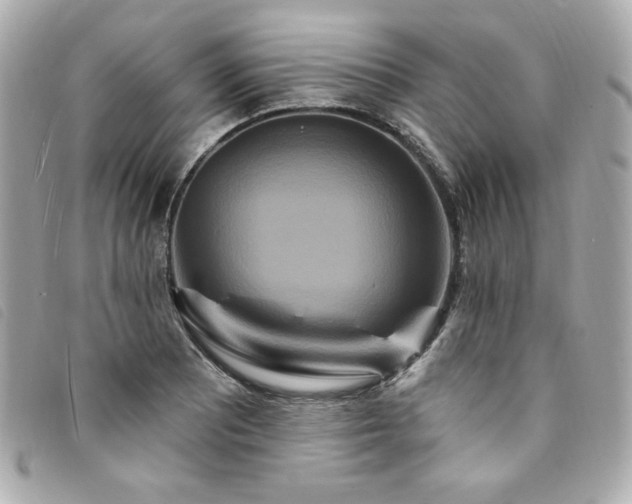 X0000094231081200710261252