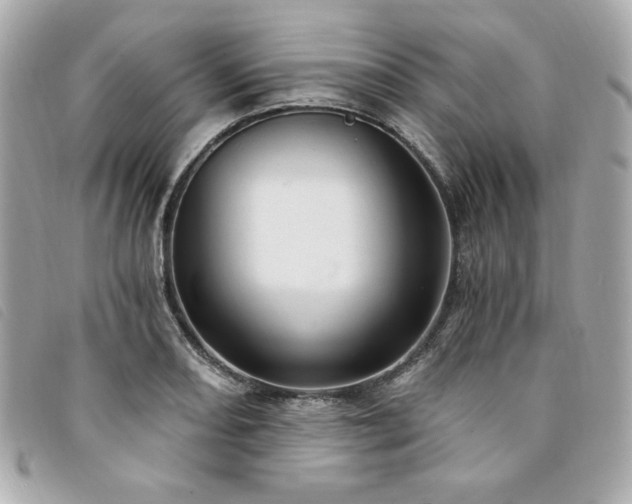 X0000094231082200710261252