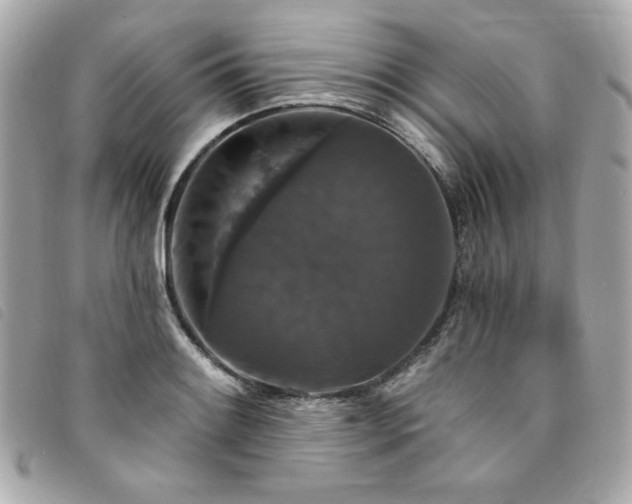 X0000094231084200710261252