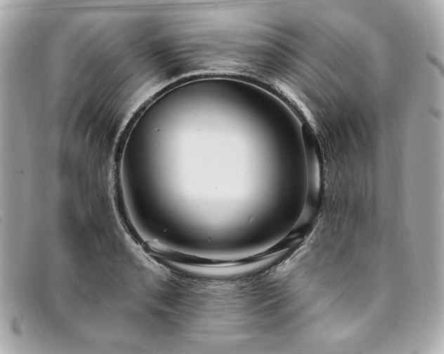 X0000094231085200710261251