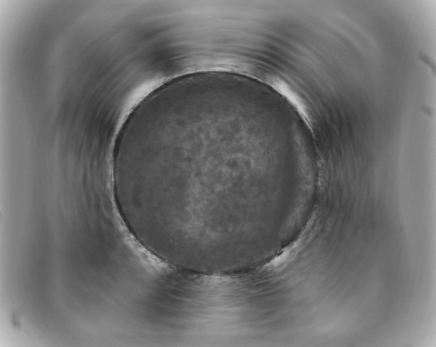 X0000094231088200710261251