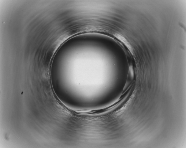 X0000094231089200710261251