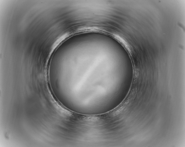 X0000094231090200710261251