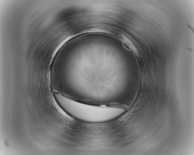 X0000094231092200710261251