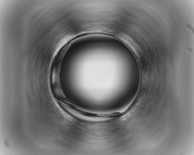 X0000094231093200710261251
