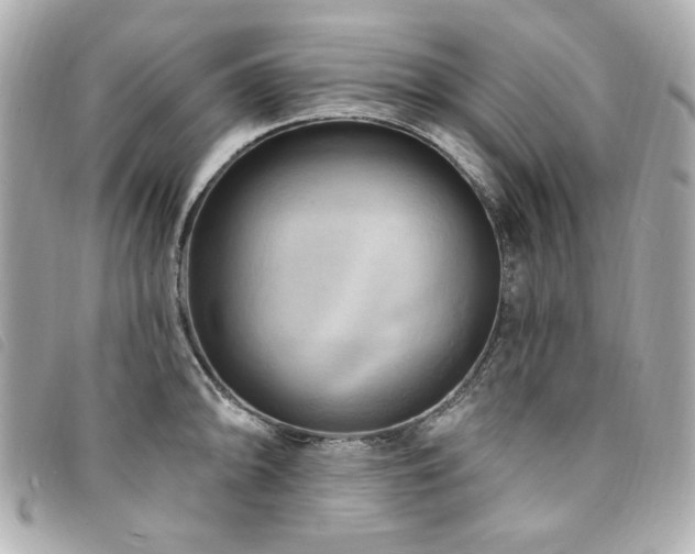 X0000094231094200710261251