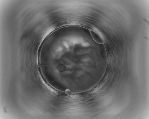 X0000094231095200710261251