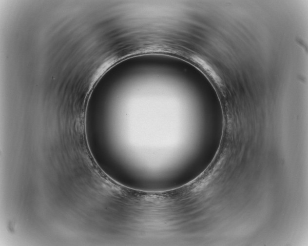 X0000094231097200710261251