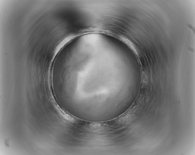 X0000094231098200710261251