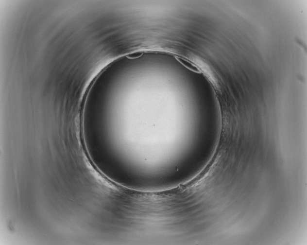 X0000094231100200710261251